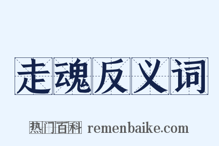 走魂反义词是什么意思的图片